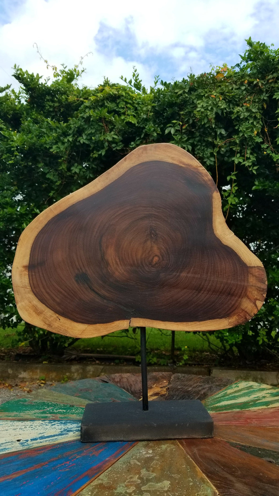 Suar Wood Table Art
