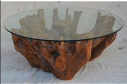 Natural Teak Root Coffee Table with Glass Top